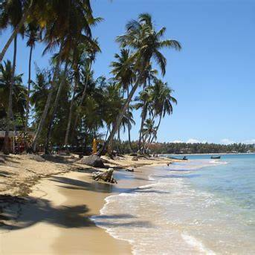 Las Terrenas palm beach real photo